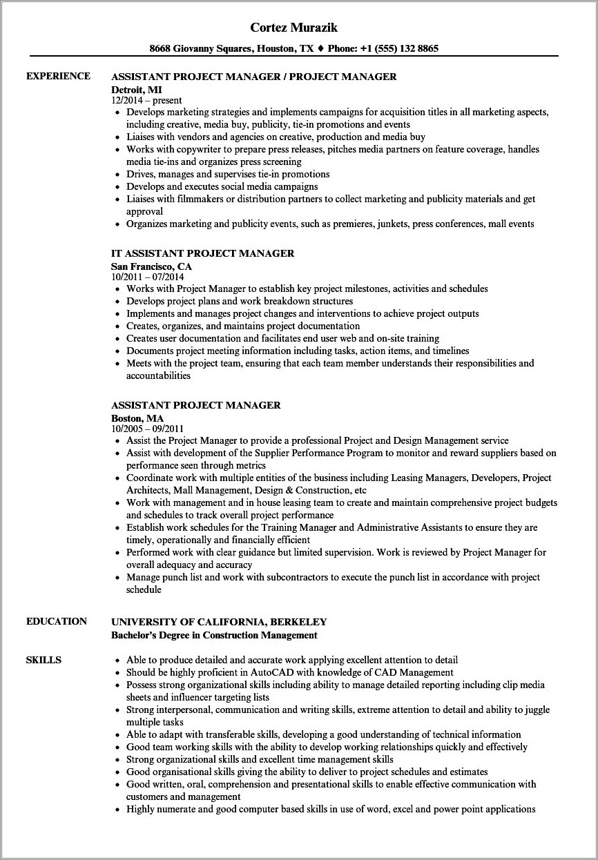 Resume For A Va Project Manager
