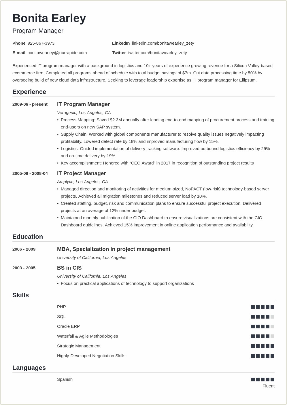Resume For An Ecommerce Project Manager