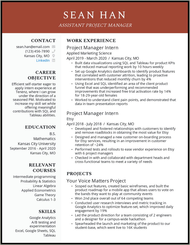 Resume For First Job In Project Management