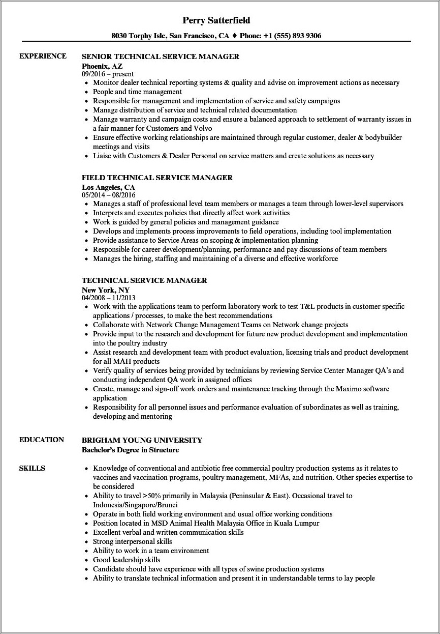 Resume For It Services Manager Poistion