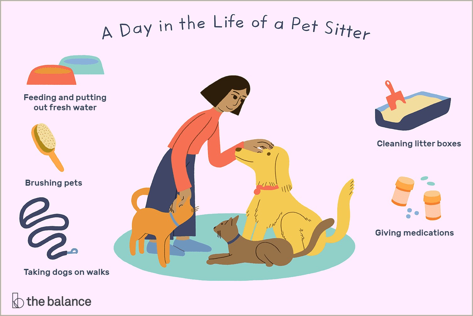 Resume For Managing Pet Sitting Dog Walking Company