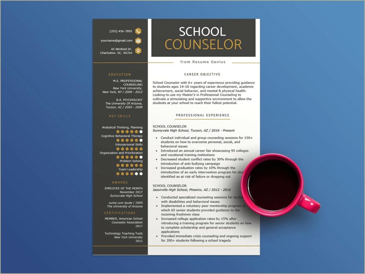 Resume For Professional Counseling Psychologist Template