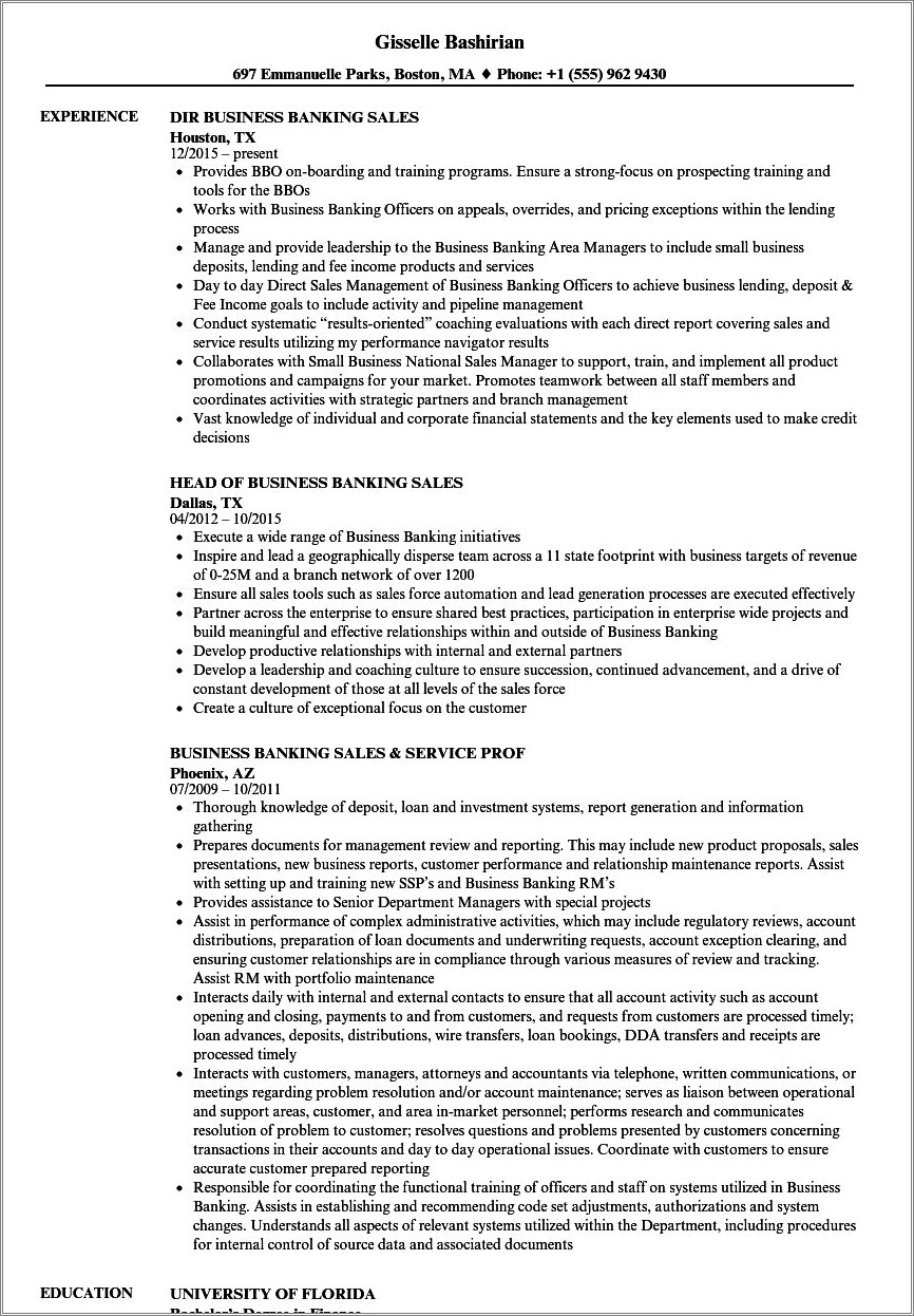 Resume For Sales Manager Banking 2019