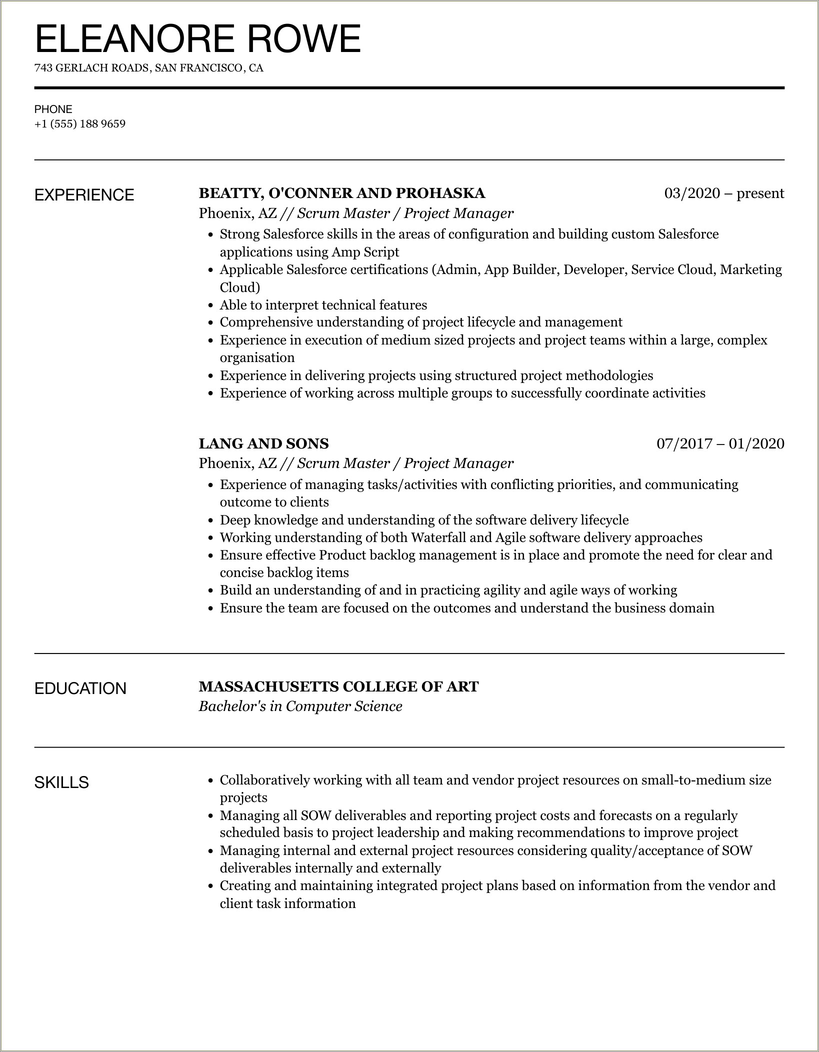 Resume For Scrum Master Project Manager