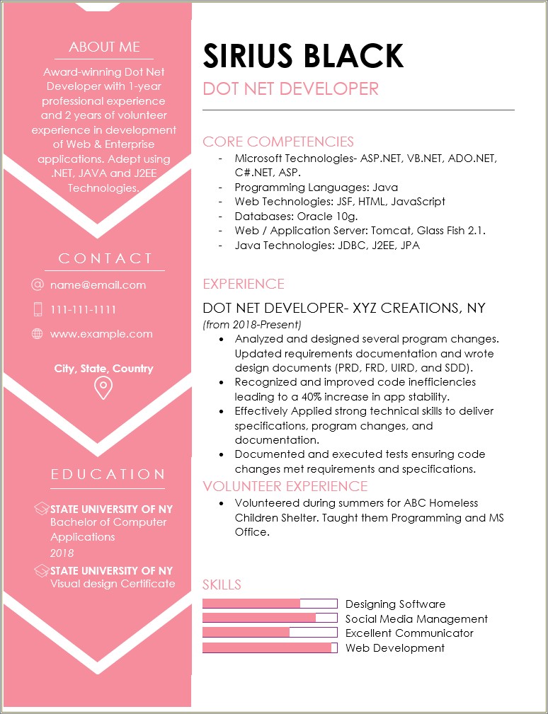 Resume Format For Net Developer Experience