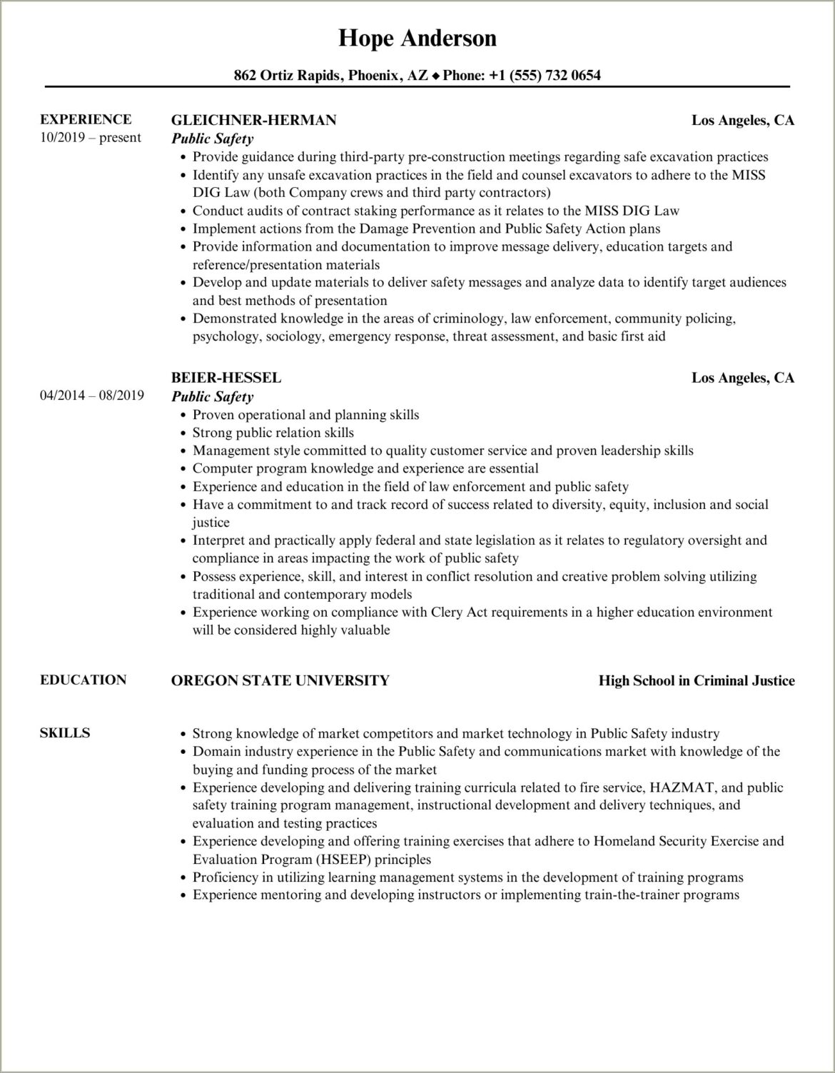 Resume Help Personal Summary Examples Public Safety