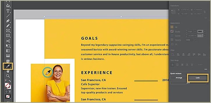 Resume Indesign Layout Examples Public Relations