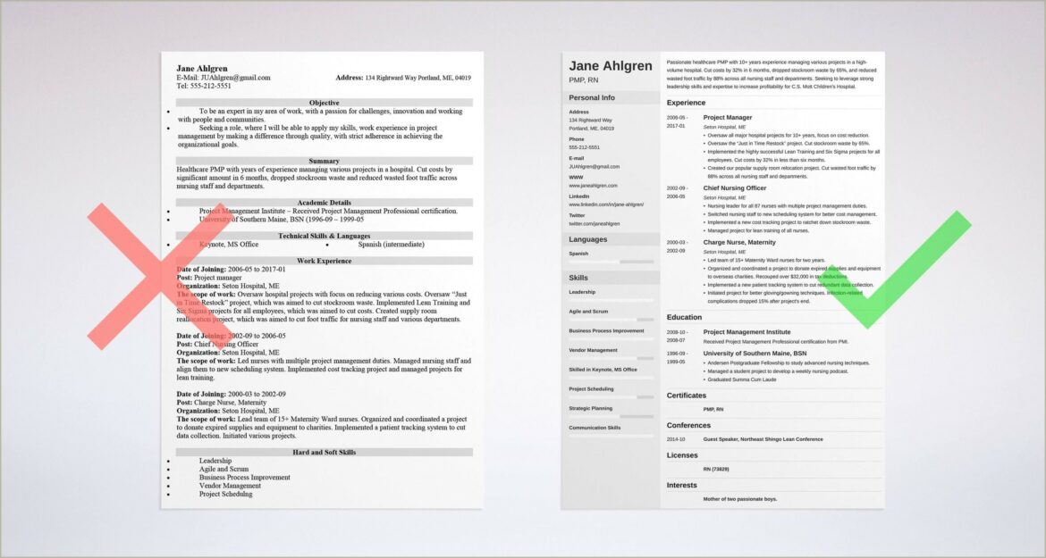 Resume Knowledge Skills And Abilities Section