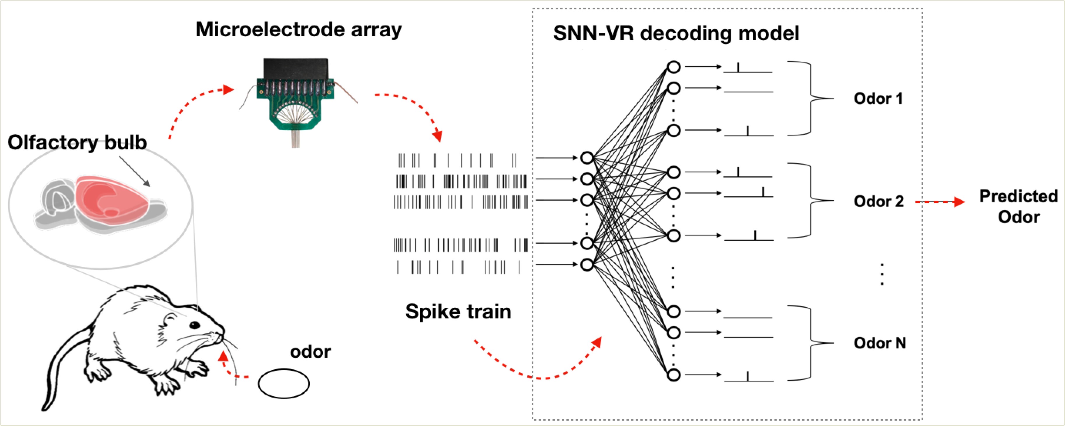 Resume Learning Spiking Neural Nets Example Code