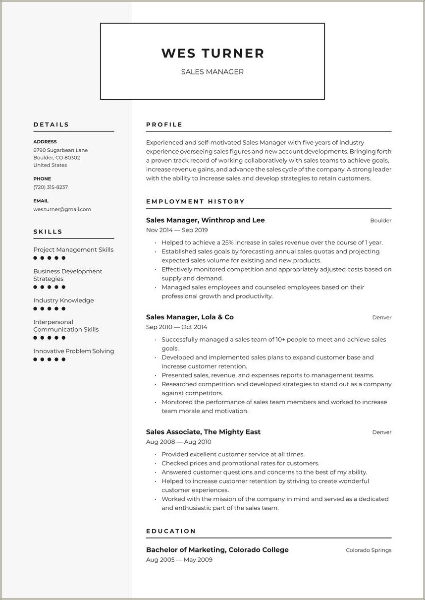 Resume Objective Examples For Sales Manager 18 Years