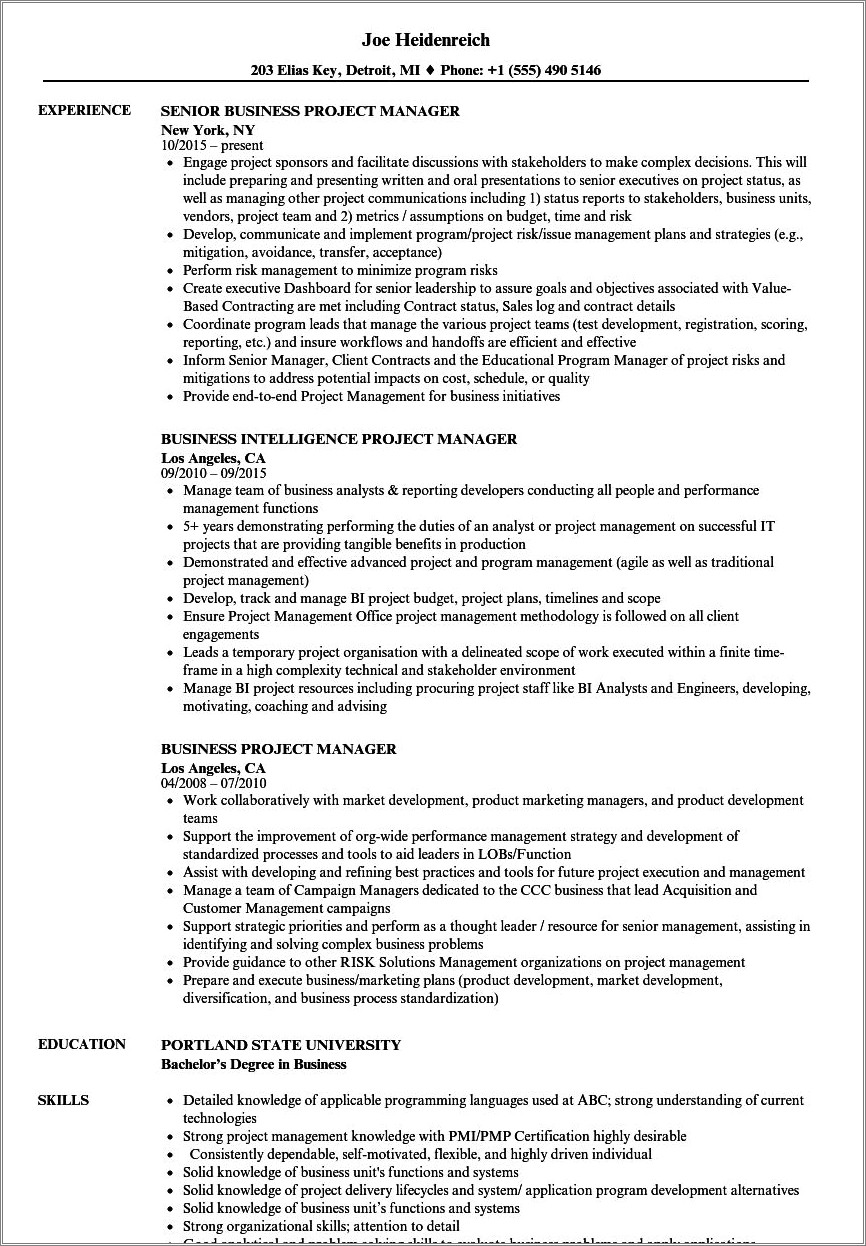 Resume Objective For Business Implementation Manager