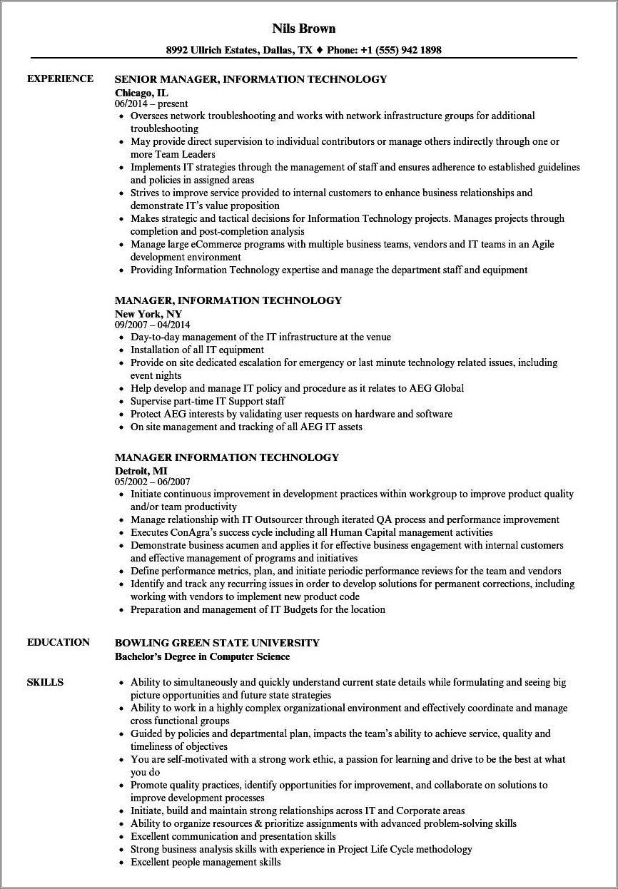 Resume Objective For Information Technology Job