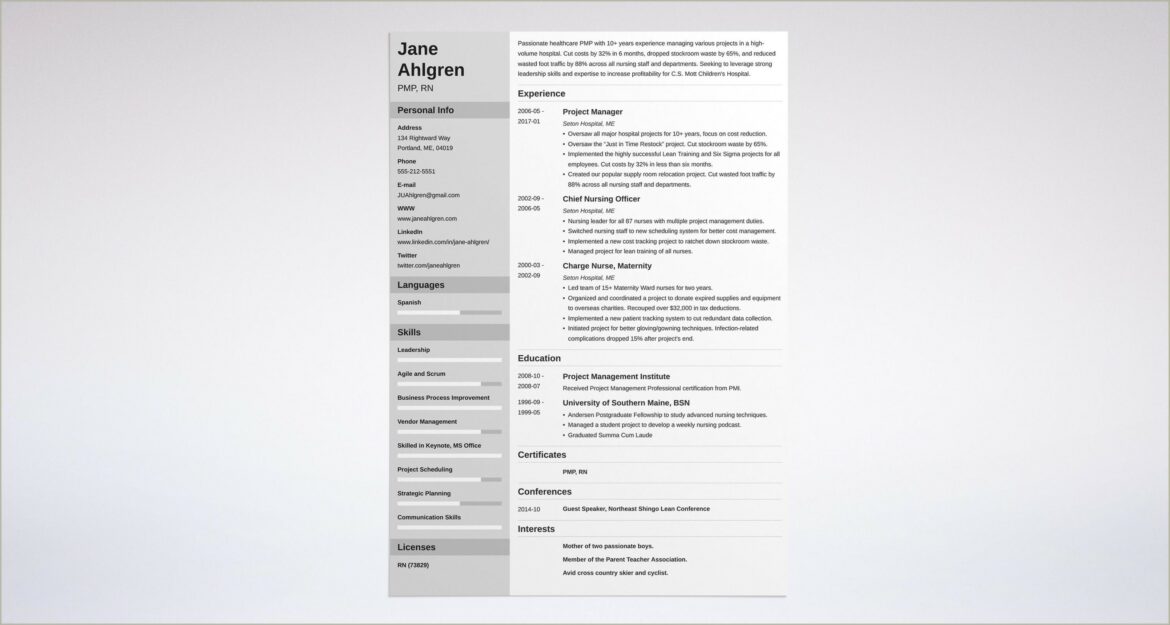 Resume Objective For Project Management Position