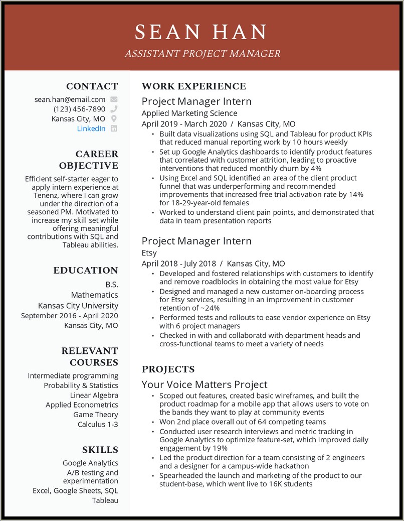 Resume Objective For Project Manager Position