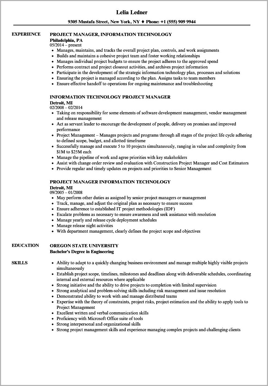 Resume Objective Statement Examples For Information Technology