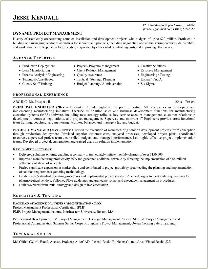 Resume Objective Statement Examples Project Management
