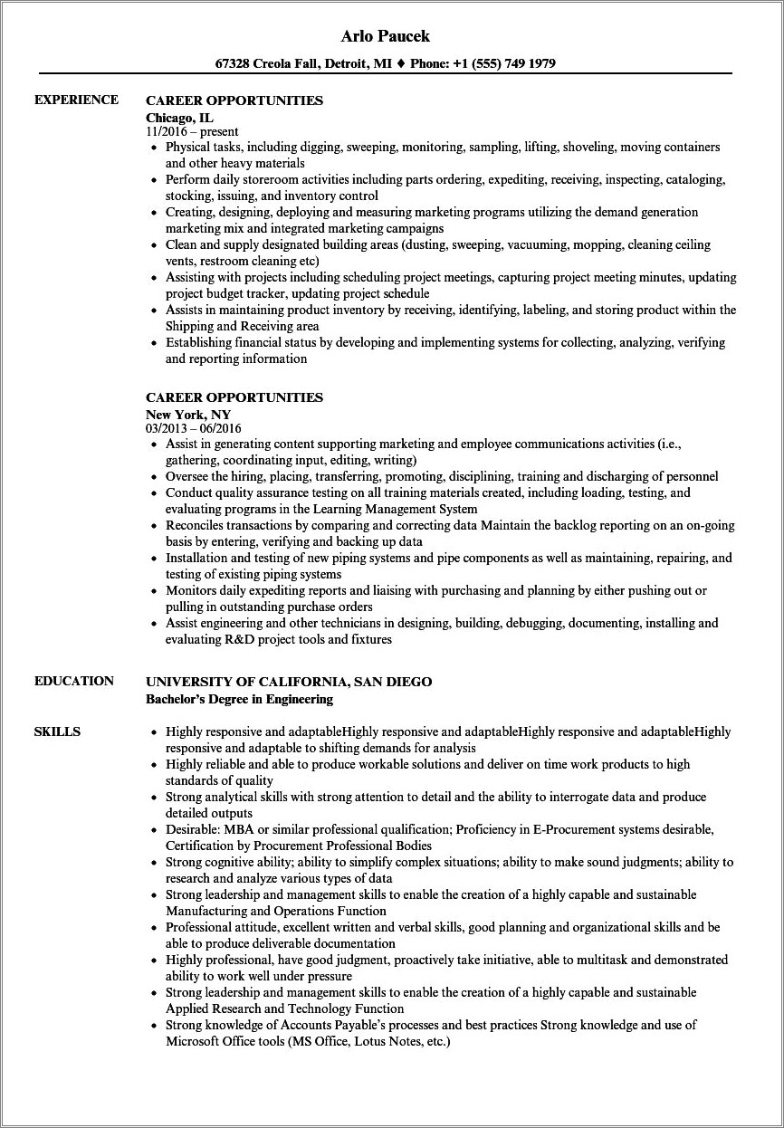 Resume Objectives Looking For Next Great Opportunity
