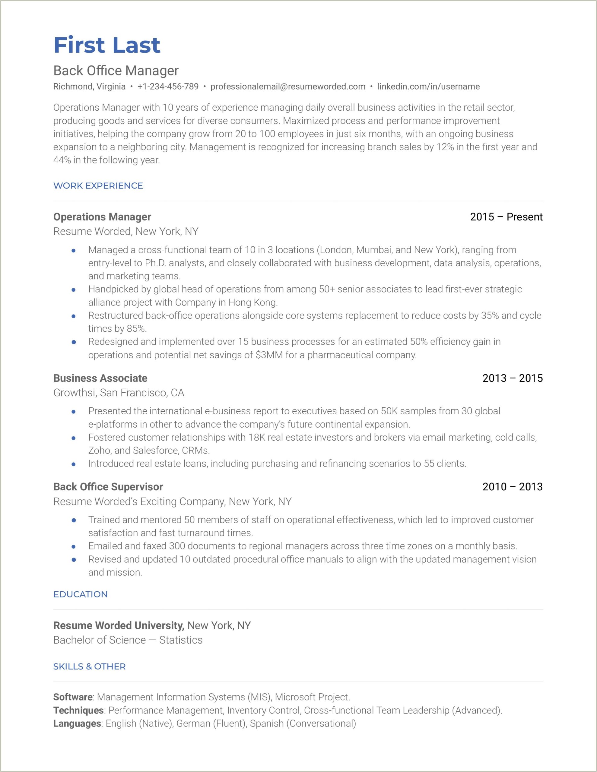 Resume Of Applicant's Activities And Experience Layout