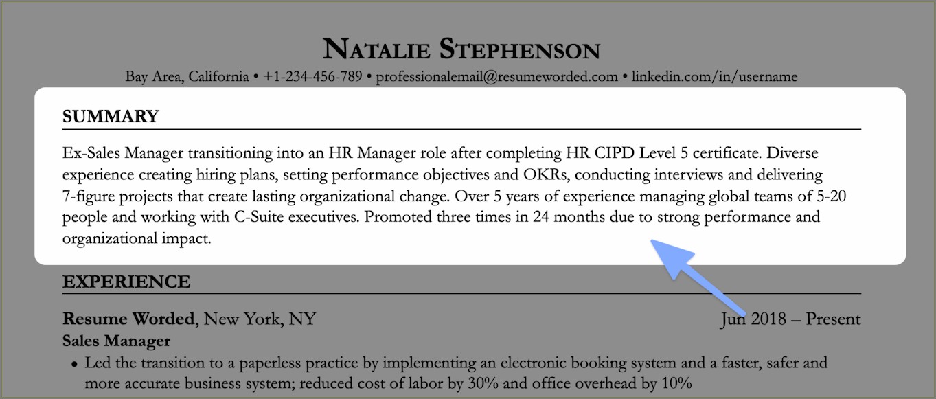 Resume Opening Statements Examples Database Admin