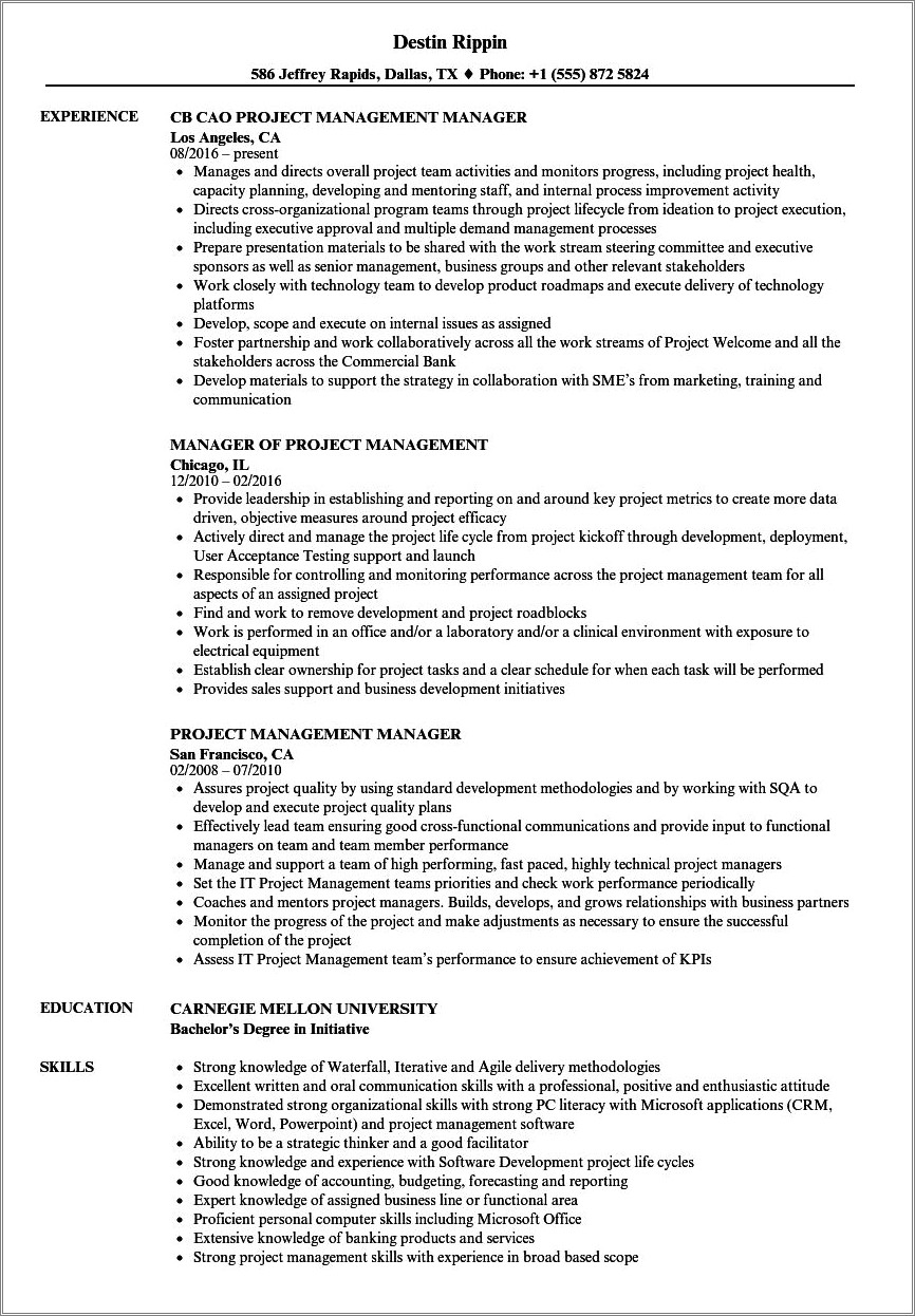 Resume Outline For It Project Manager