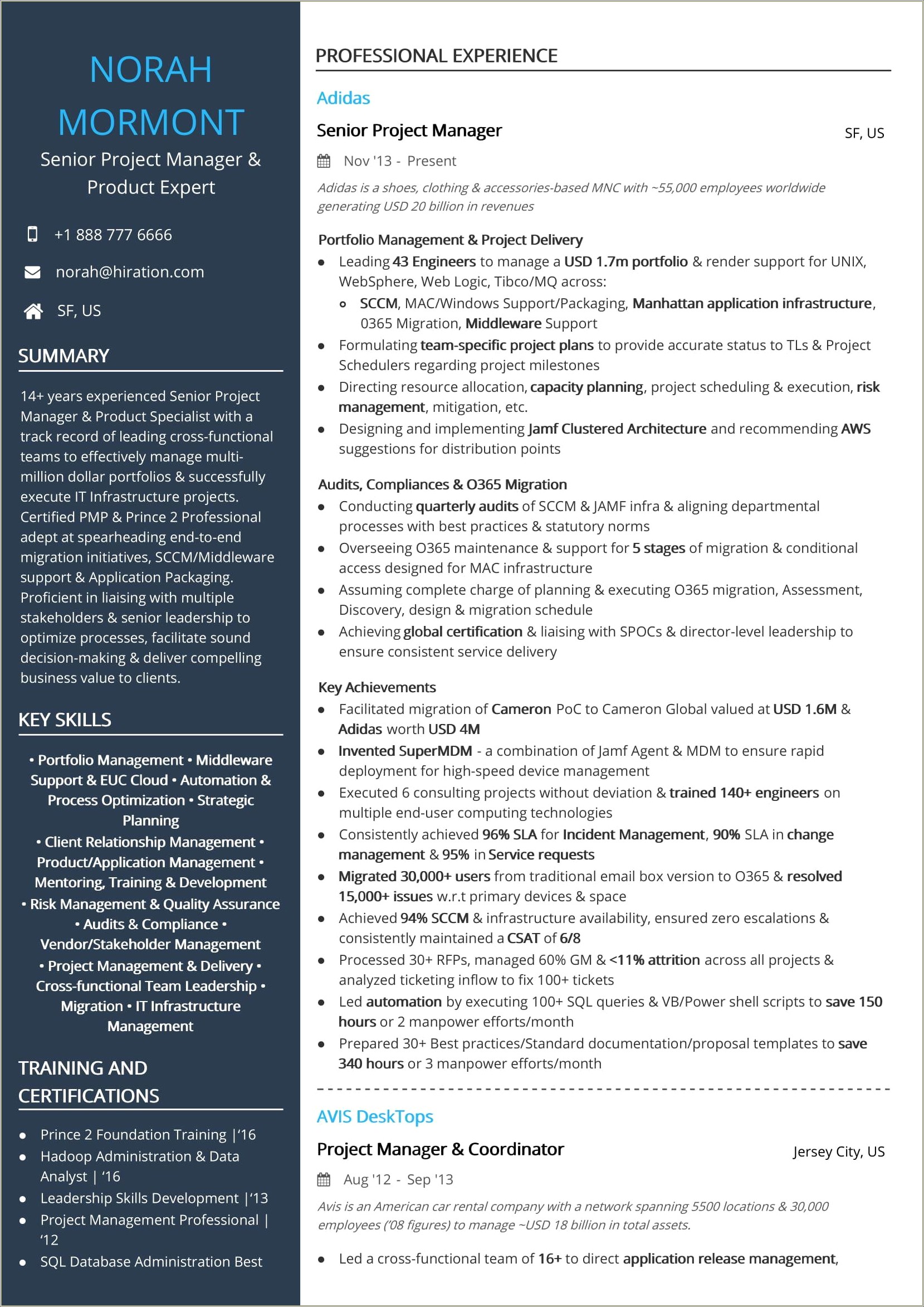 Resume Principal Partner Goals Project Manager