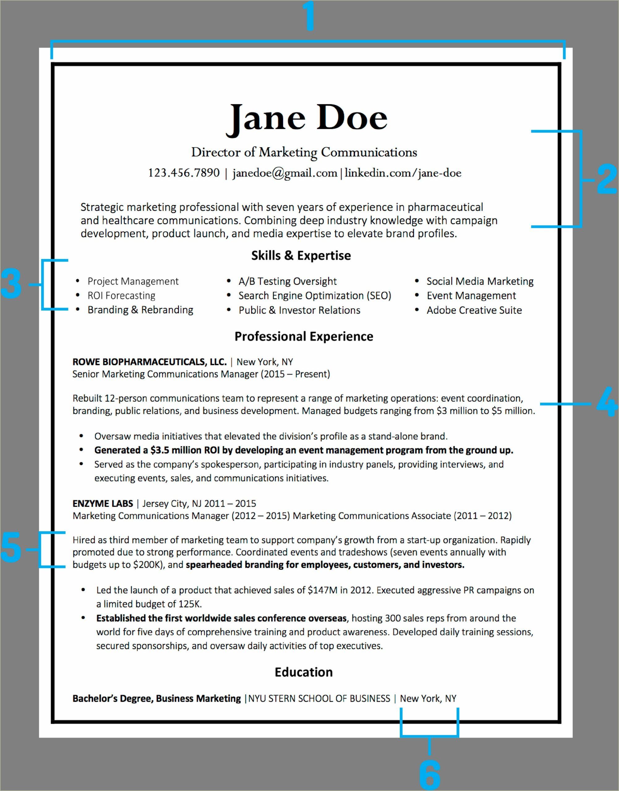 Resume Professional Summary Example In Third Person