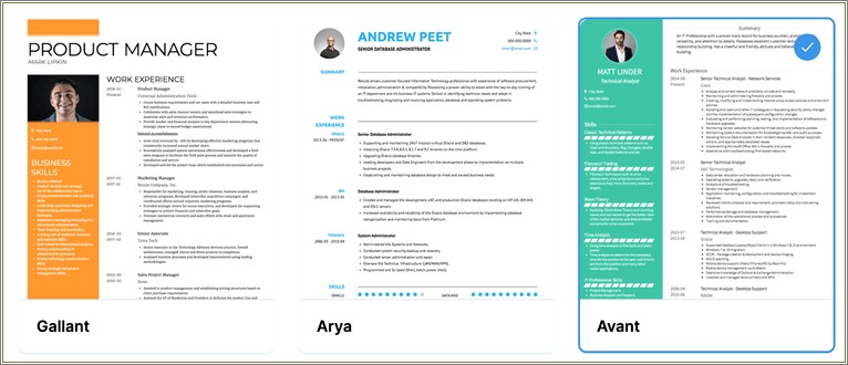 Resume Put Skill Sets In Two Columns