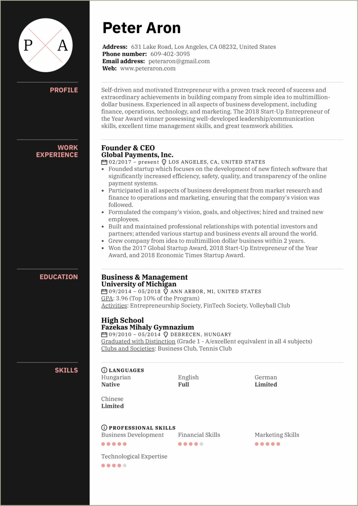 Resume Sample Co Founder Startup Company