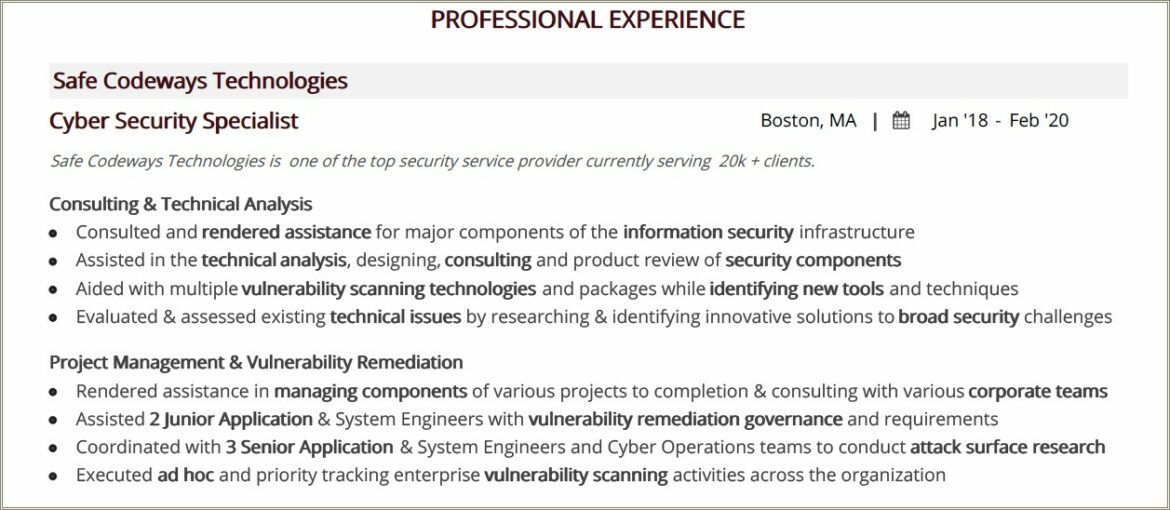 Resume Sample Cybersecurity And Project Manager