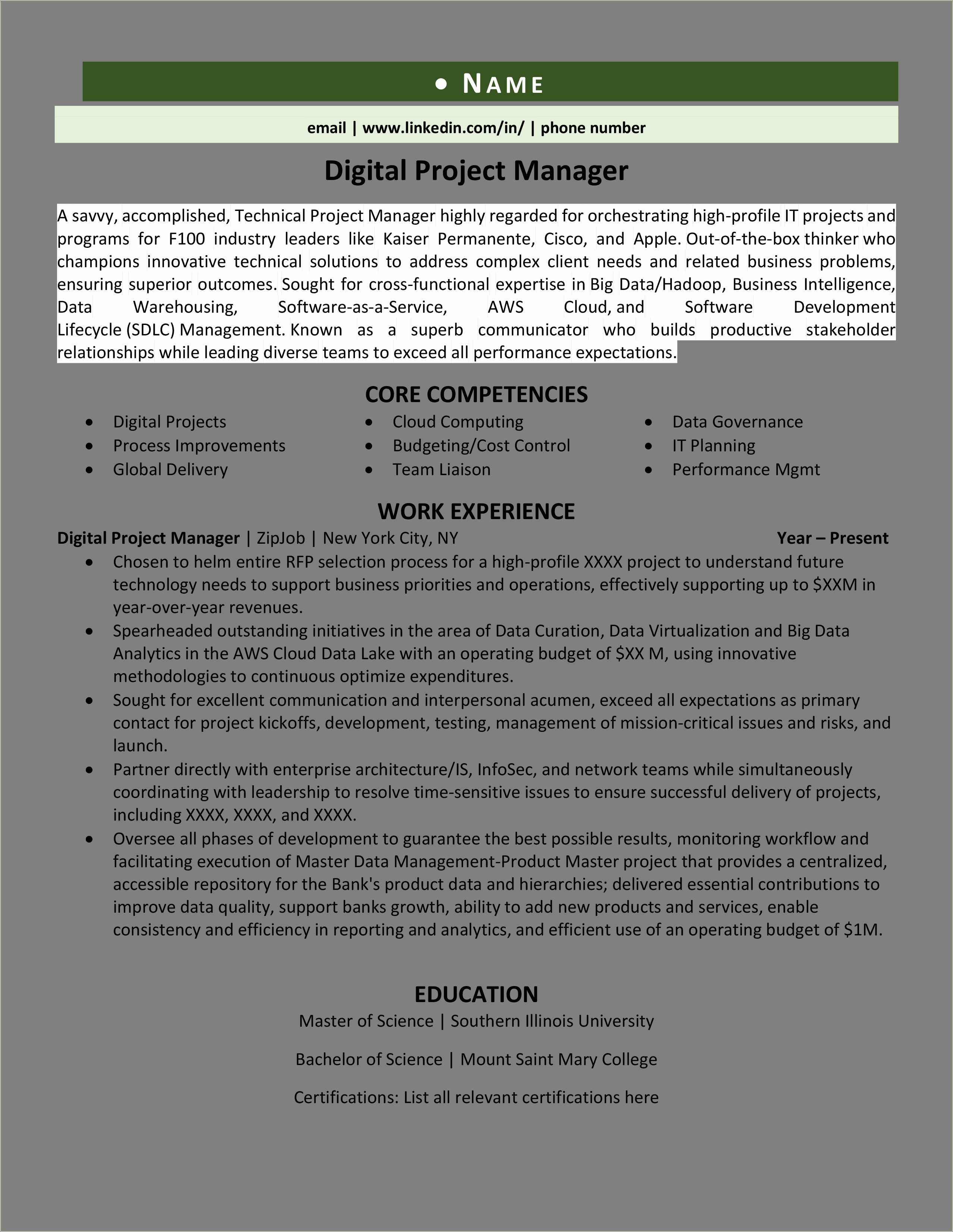 Resume Samples For Technical Program Managers