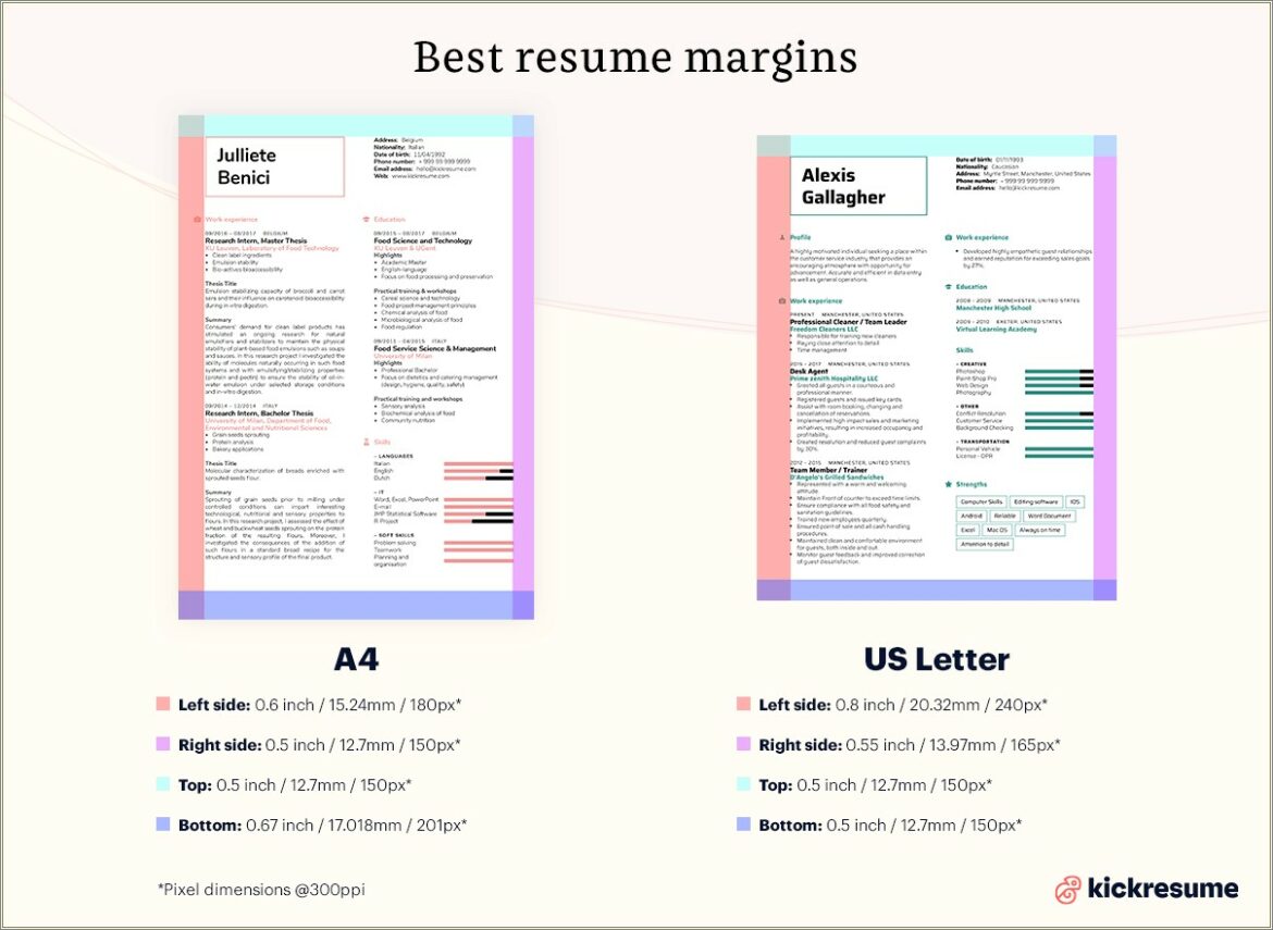 Resume Size Letter Or A4 Size