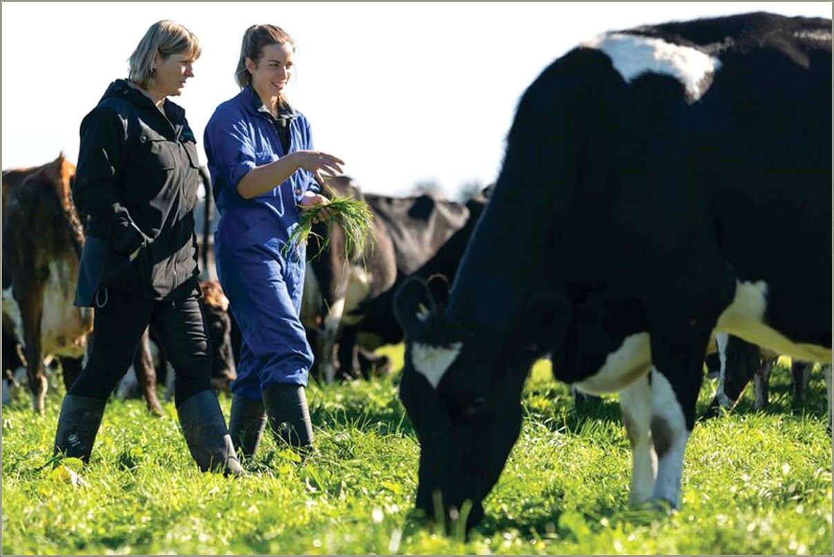 Resume Skills For A Dairy Farm Worker
