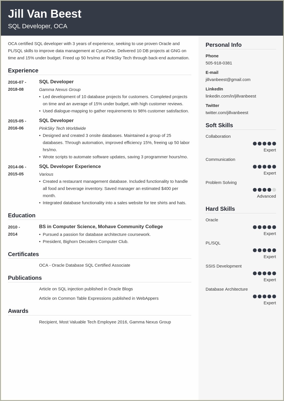 Resume Sql Server Developer Mirroring Experience