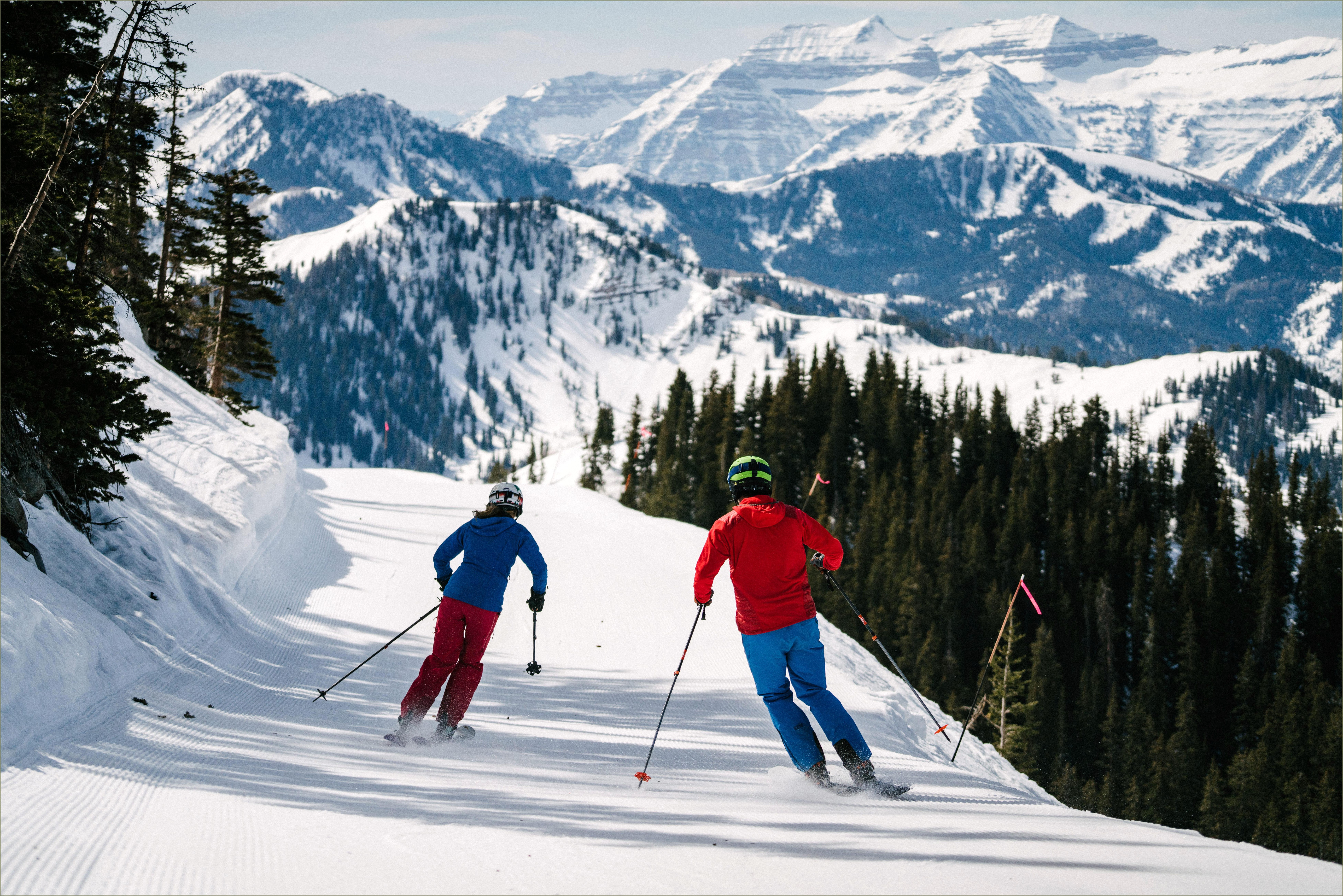 Resume Summary Examples Dealing With Winter Ski Resorts