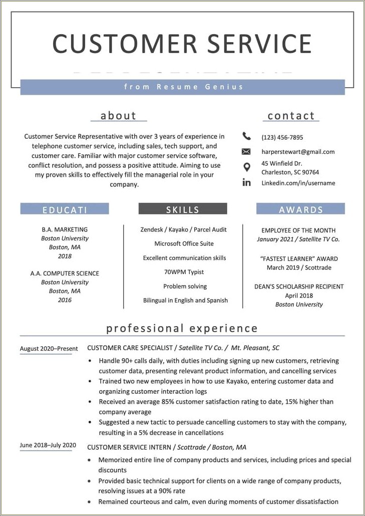 Resume Summary Examples For Business Owner Customer Service