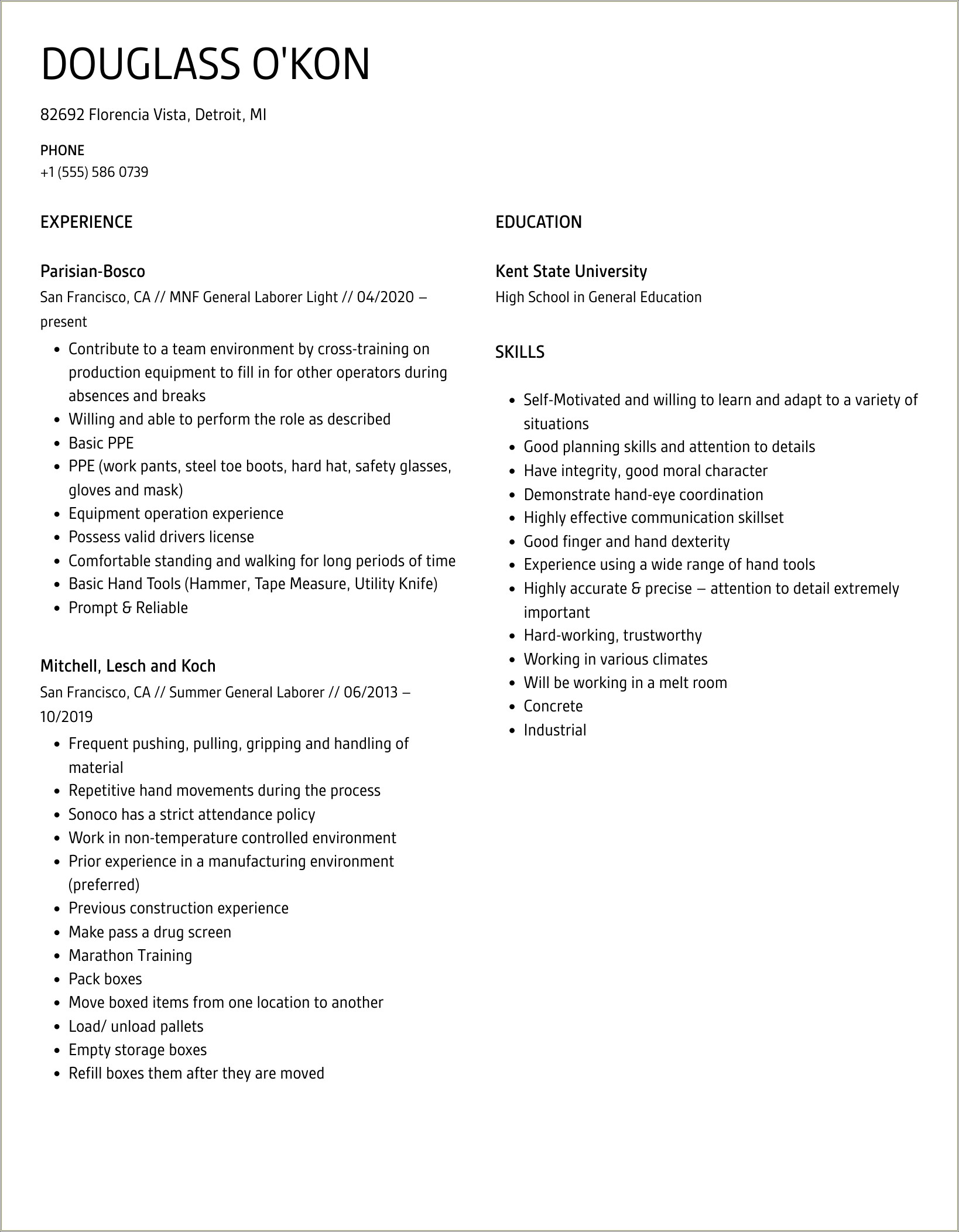 Resume Summary Examples For General Labor