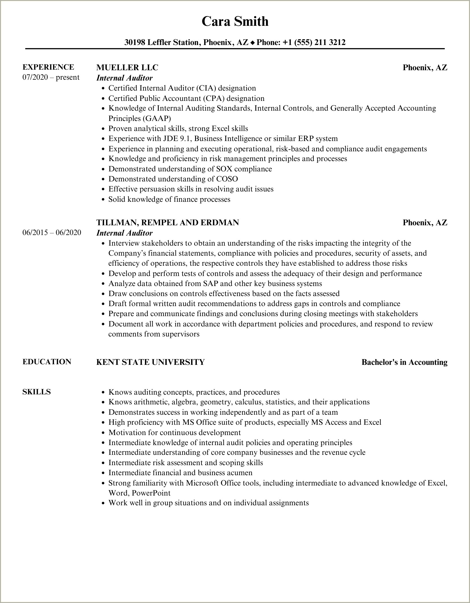 Resume Summary Examples For Internal Auditor