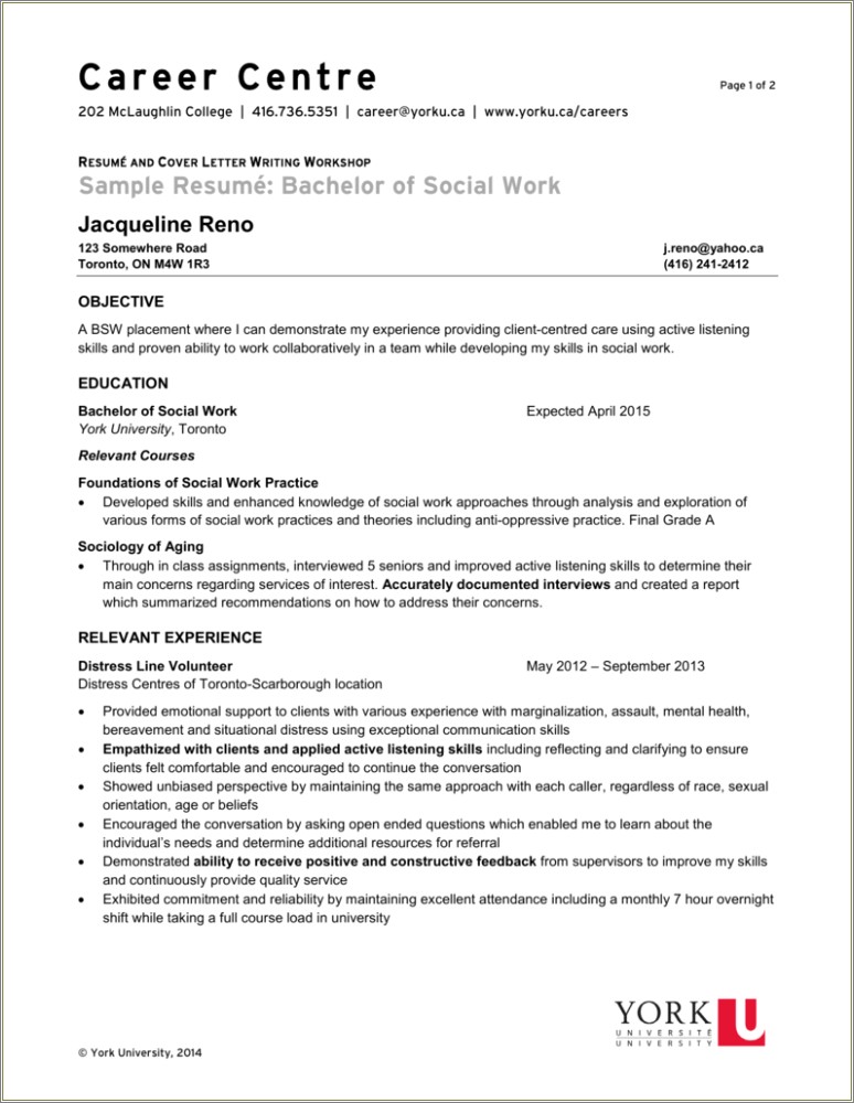 Resume Summary Examples For Social Workers
