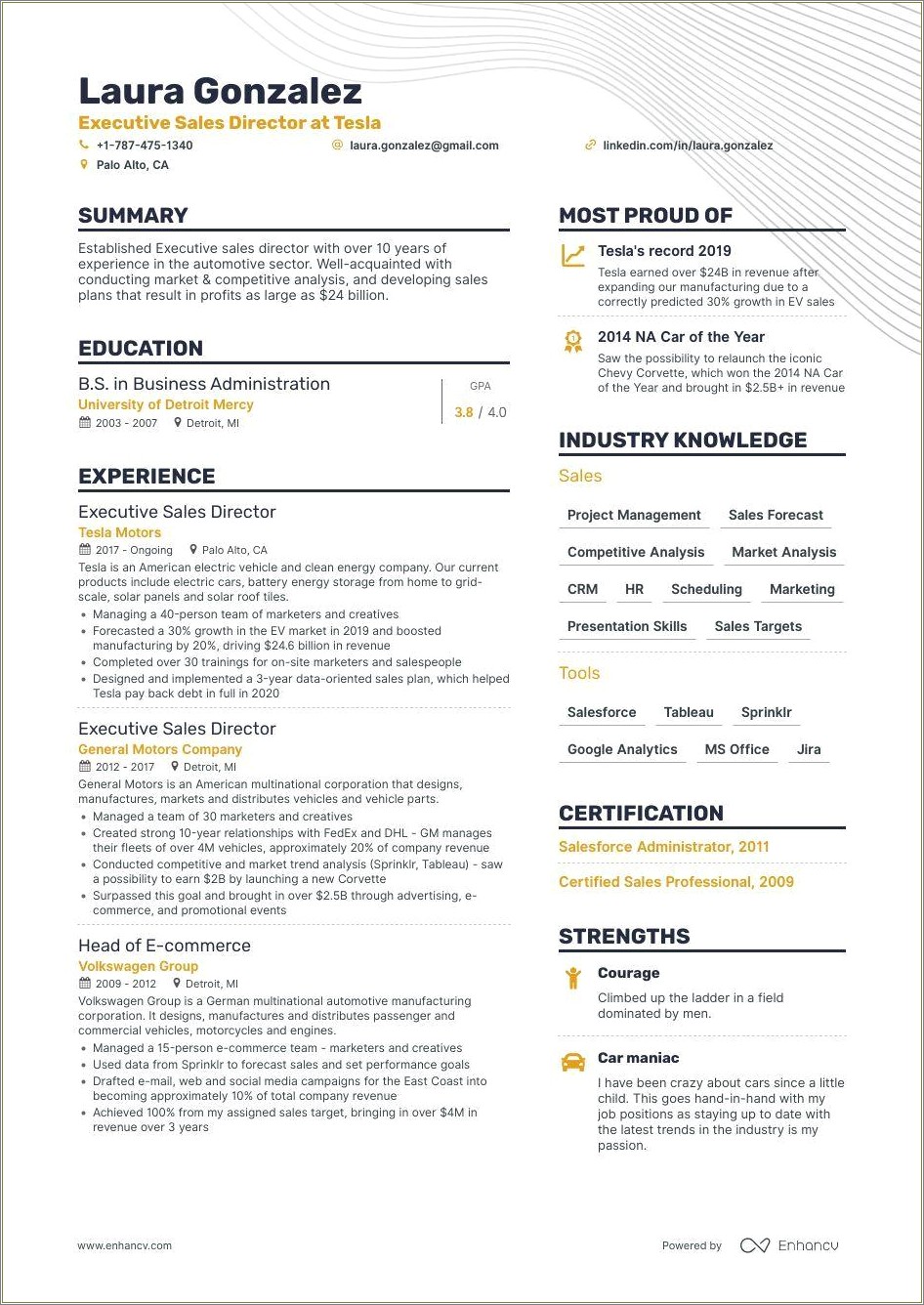 Resume Summary For Auto Sale Cordinator