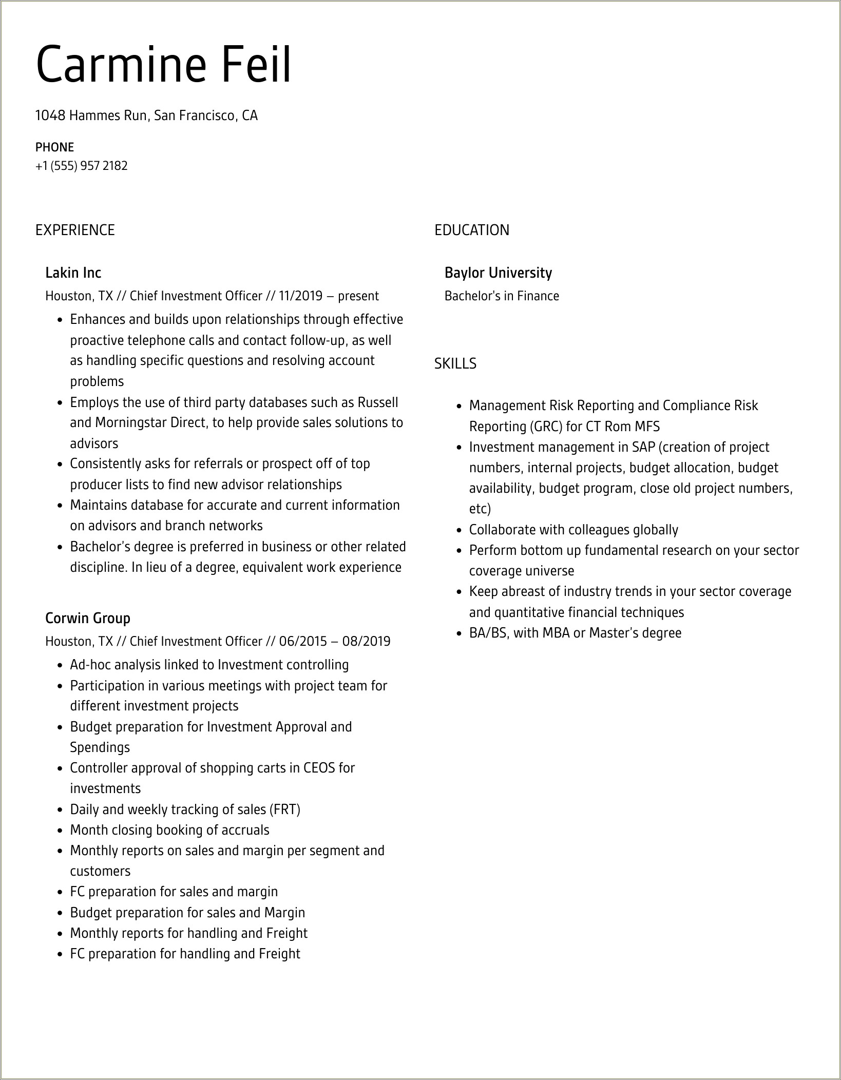 Resume Summary For Chief Investmen Tofficer
