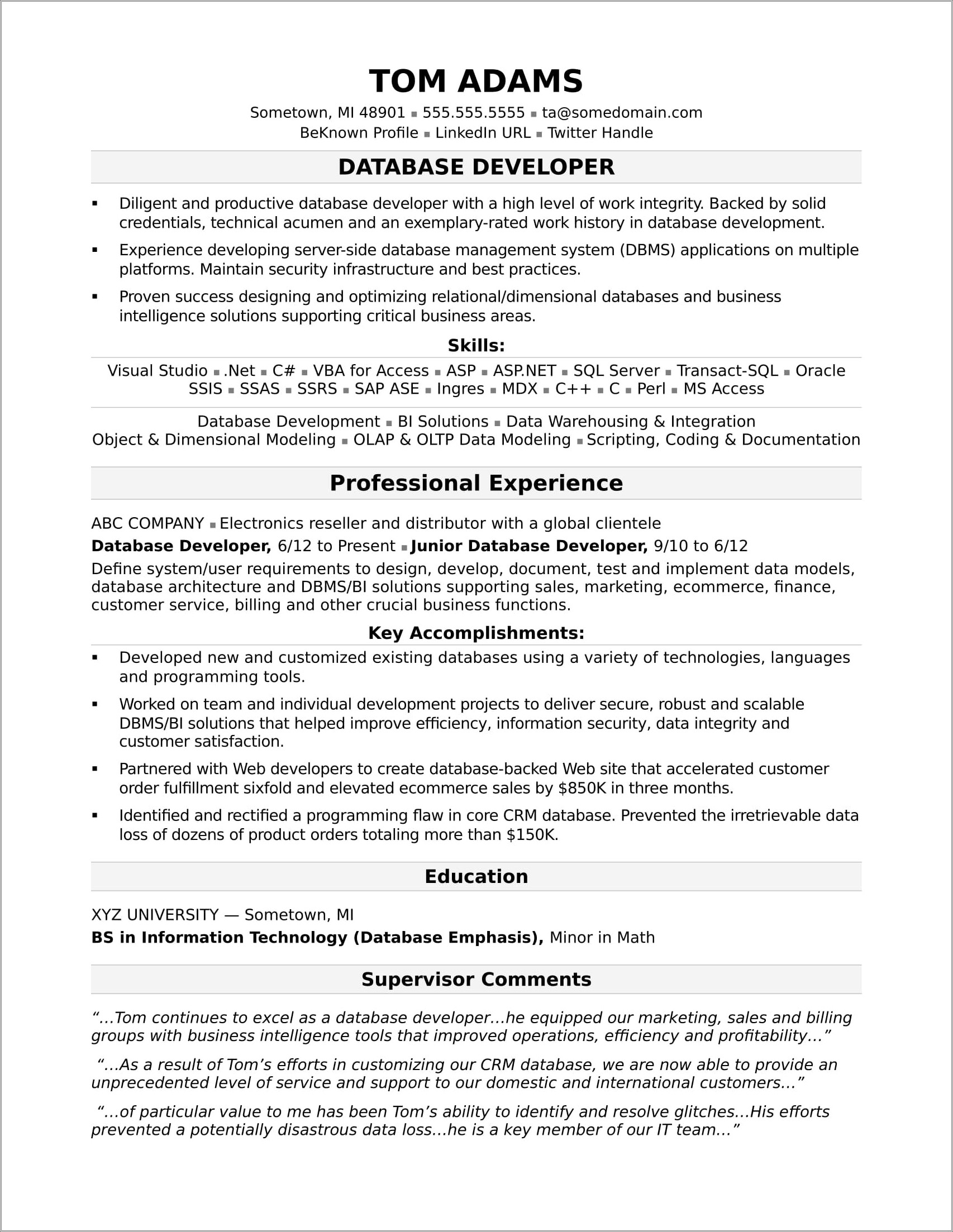 Resume Summary For Experienced Developer