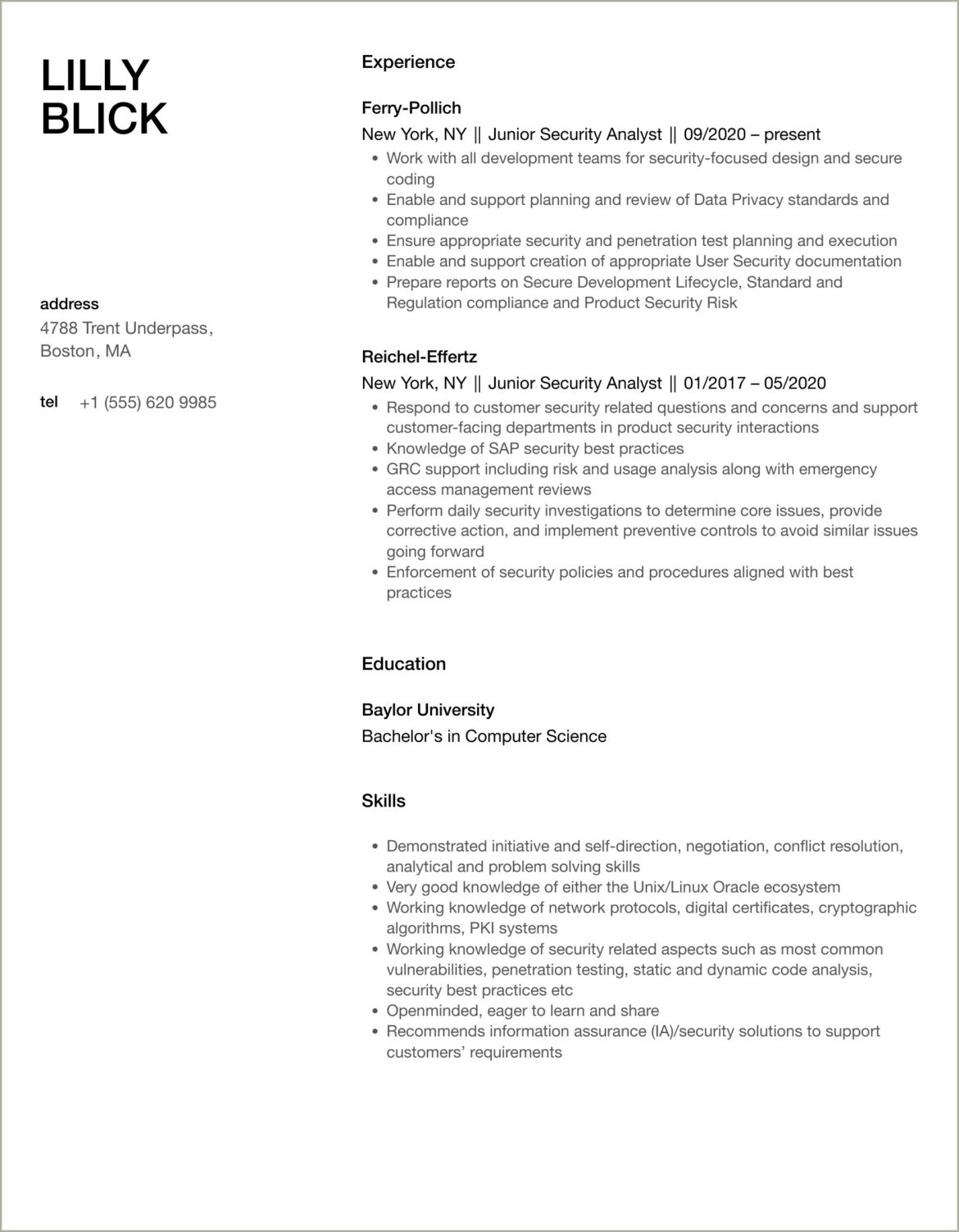 Resume Summary For Junior Security Analyst