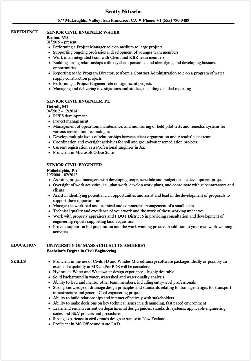 Resume Summary For Senior Engineer