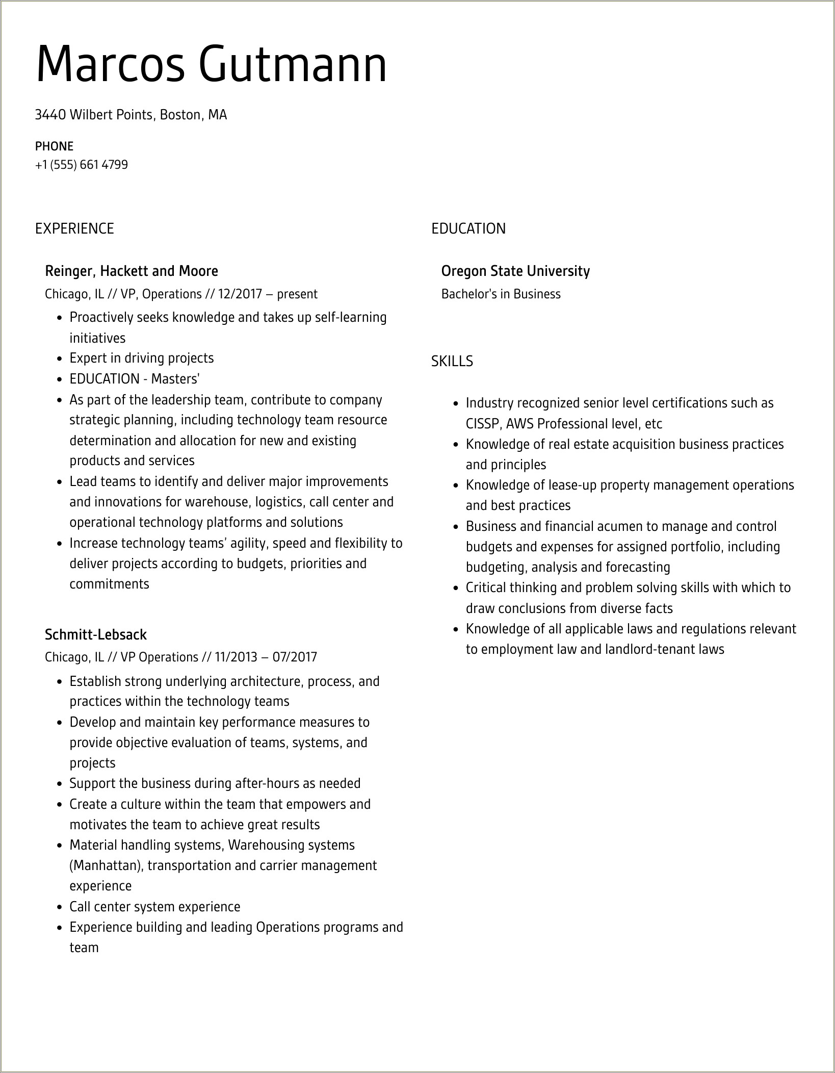 Resume Summary For Vp Of Operations