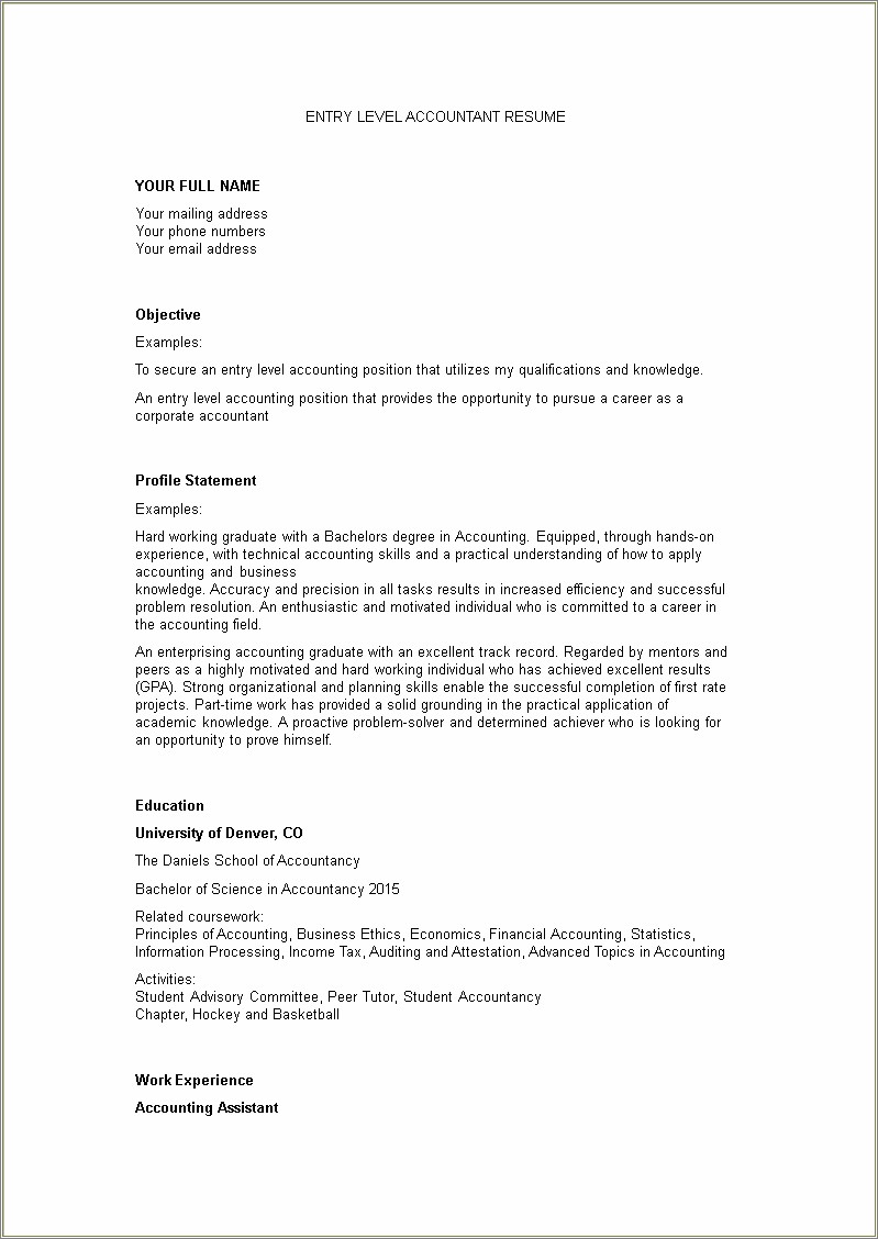 Resume Summary Statement Entry Level Job