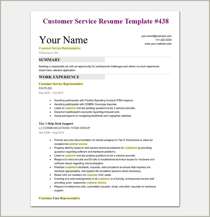 Resume Summary Statement Examples For Customer Service Representative