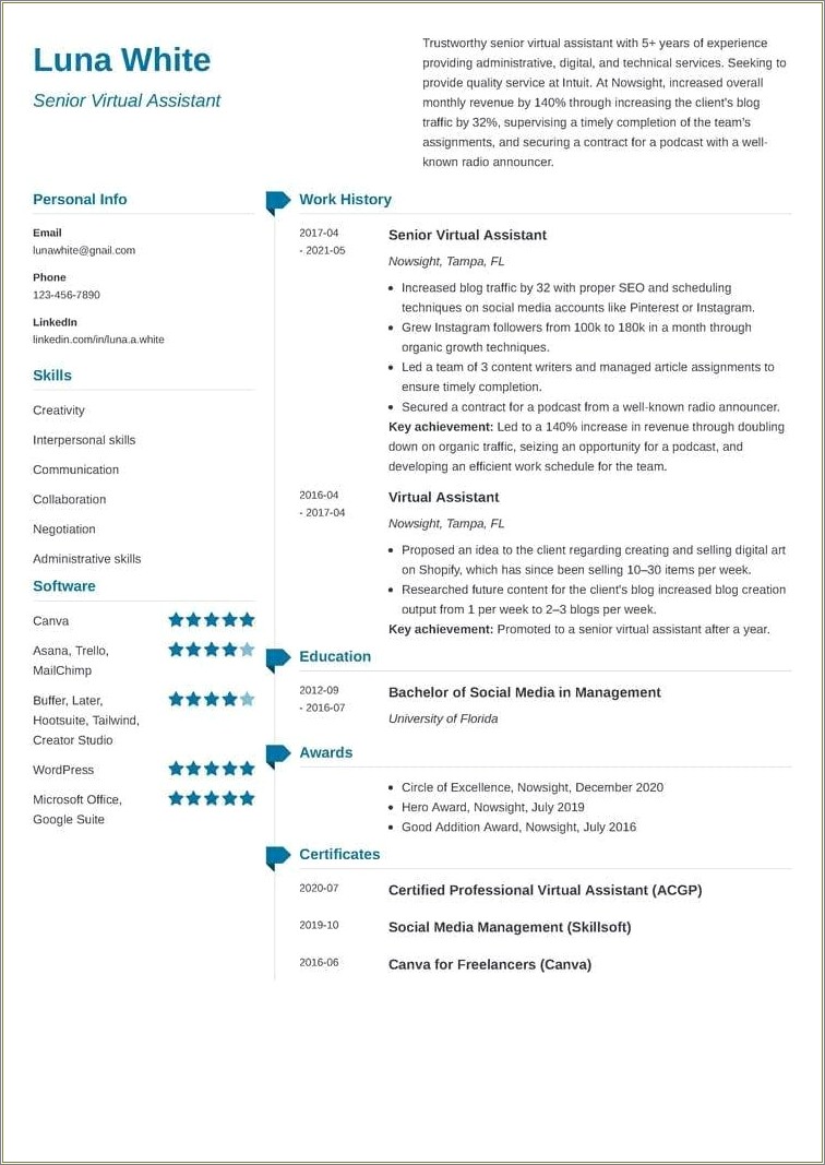 Resume Summary Statement Examples The Muse