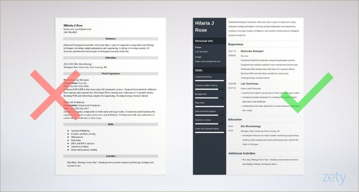 Resume Template For College Students Bio Bioinformatics