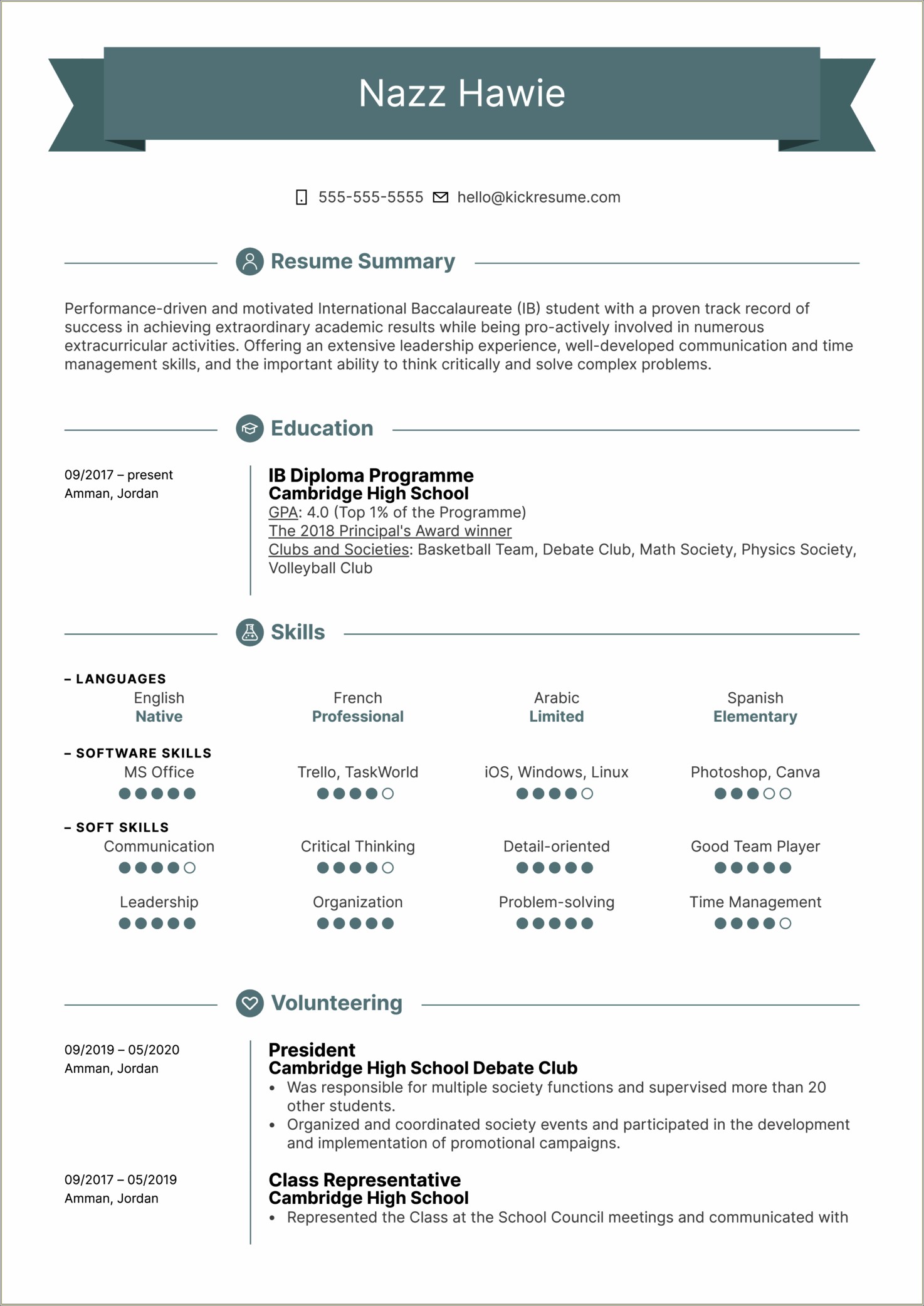 Resume Template For First Job Free