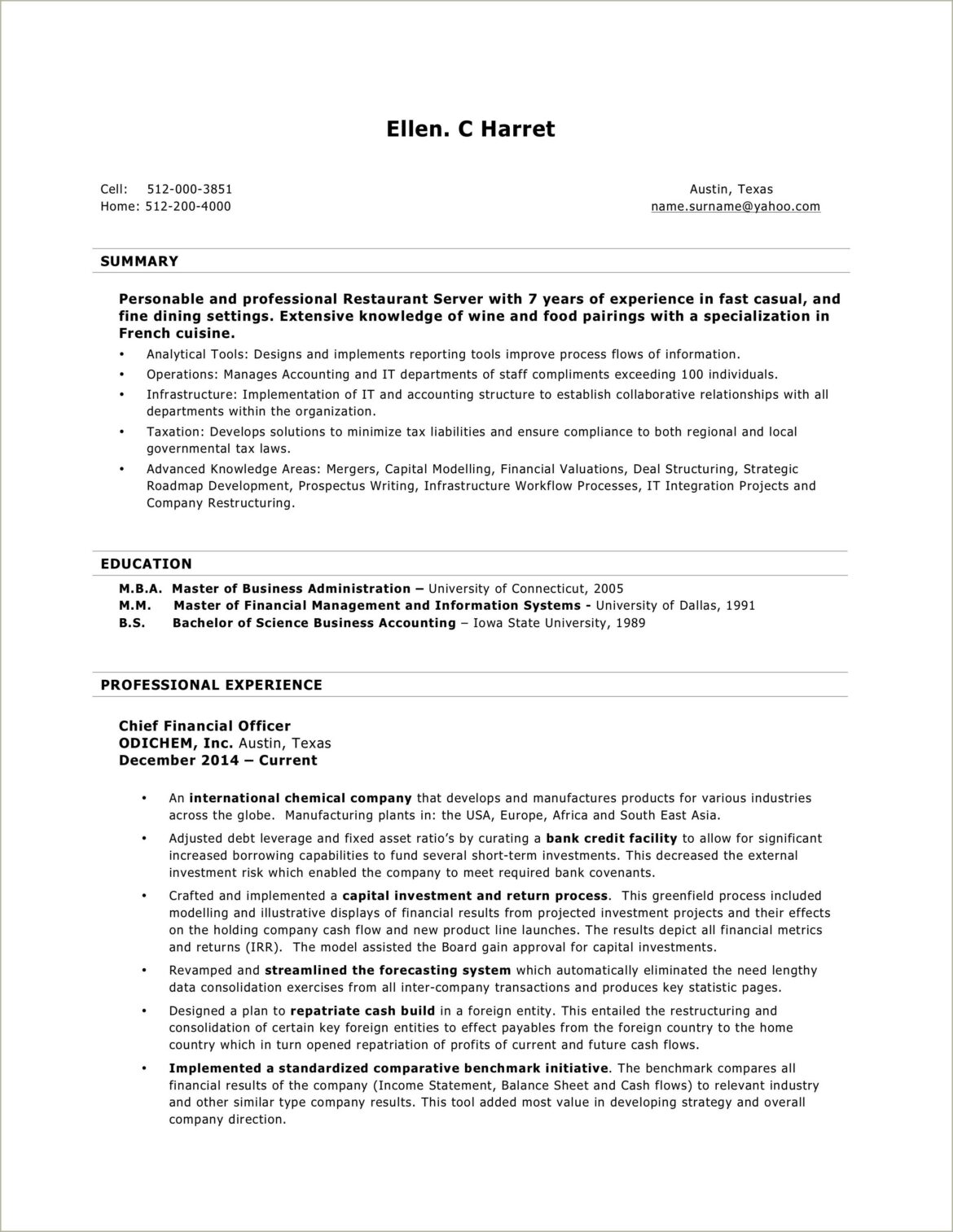 Resume Template With Lots Of Room For Words